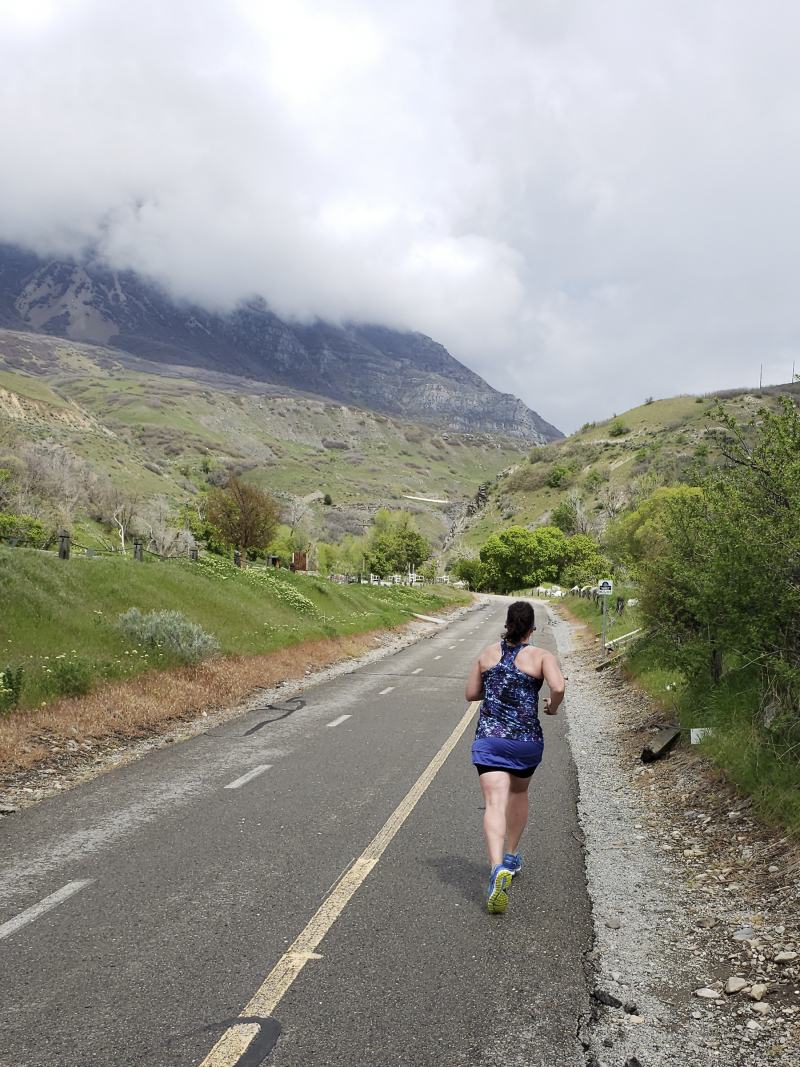 Witl 2019 running on the PRT Witl 2019 running on the PRT